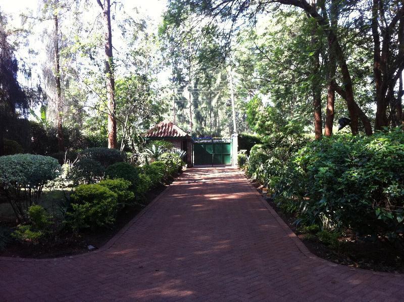 Milimani Backpackers Hostel Nairobi Buitenkant foto