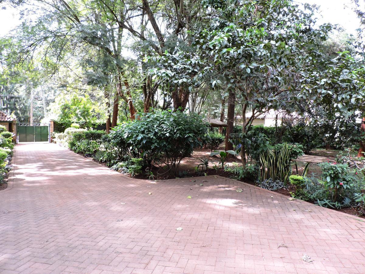 Milimani Backpackers Hostel Nairobi Buitenkant foto