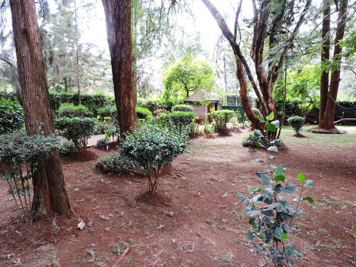 Milimani Backpackers Hostel Nairobi Buitenkant foto