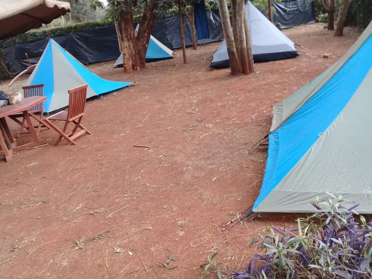 Milimani Backpackers Hostel Nairobi Buitenkant foto